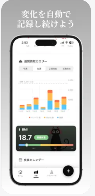 記録画面 — 変化を自動で記録し続けよう